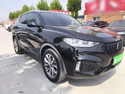 2019 WEY VV6 2.0T 2WD Ultra Luxury China VI, фото 4, лот 10598165