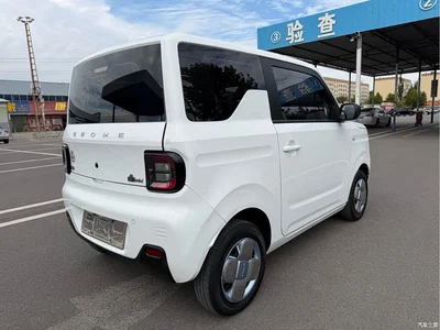 2024 Geely Galaxy Panda mini 200km Endurance Bear, фото 4, лот 10429527