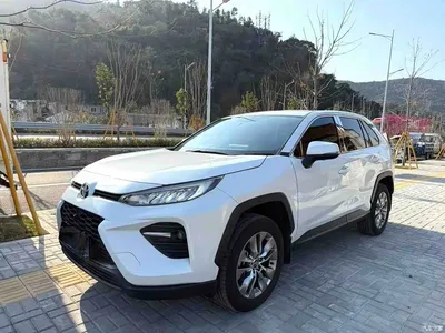 2023 Toyota Wildlander 2.0L CVT FWD LE, фото 1, лот 10384560