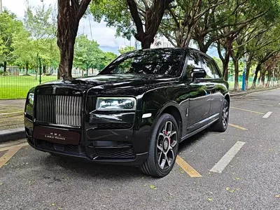 2018 Rolls-Royce Cullinan 4-Seater Version, фото 1, лот 10236408