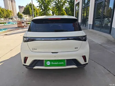 2025 BYD Dolphin 420km Freedom Edition, фото 4, лот 11539994