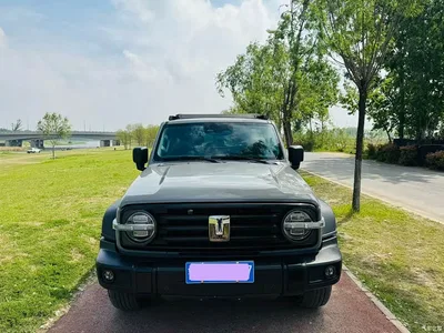 2021 Tank 300 Off-road Version 2.0T Conqueror, фото 2, лот 11536213