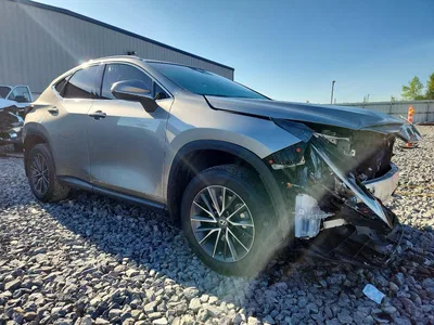2022 LEXUS NX 350, фото 4, лот 10846603