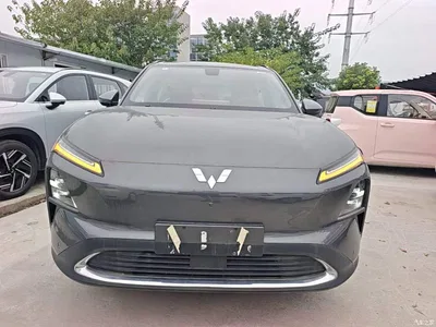 2024 Wuling Motors Wuling Xingguang S 130km Pilot, фото 3, лот 10836116