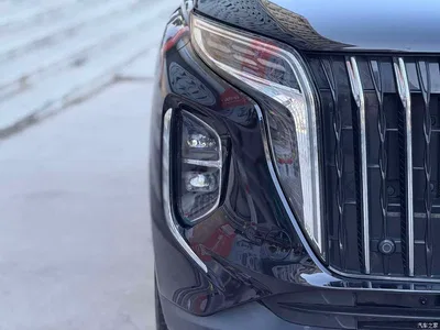 2024 Hongqi HS7 PHEV 2.0T PHEV 4WD Flagship Edition 6-seater, фото 4, лот 10287853