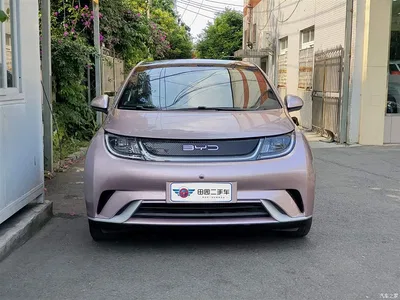 2021 BYD Dolphin Model 405km Fashion Edition, фото 2, лот 10251531