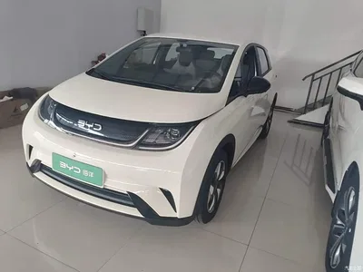 2025 BYD Dolphin 420km Freedom Edition, фото 1, лот 10387417