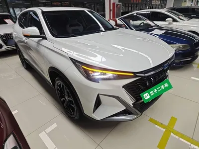 2023 Changan Oshan X5 PLUS 1.5T DCT Excellence, фото 4, лот 10409838