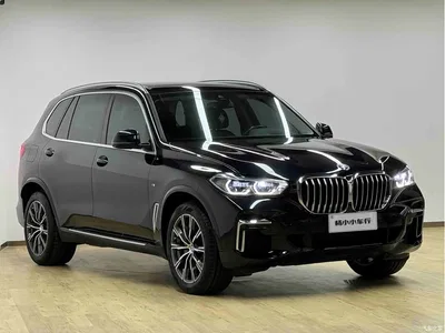 2022 BMW X5 Facelift xDrive 30Li Premium M Sport Package, фото 3, лот 10462747