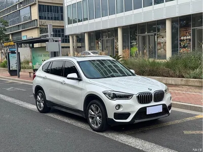 2019 BMW X1 sDrive20Li Leading Model, фото 3, лот 11219057