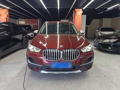 2021 BMW X1 sDrive20Li Exclusive, фото 3, лот 11545771
