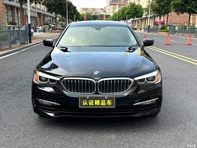2018 BMW 5 Series 528Li Launch Special Edition, фото 2, лот 11206322