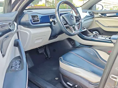 2021 BYD Qin PLUS EV 500KM Premium Model, фото 4, лот 11586334