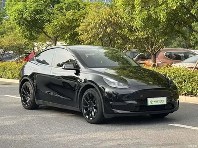 2021 Tesla Model Y Standard Range Rear-Wheel Drive, фото 4, лот 10900751