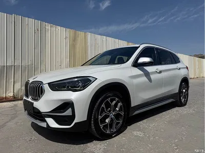 2021 BMW X1 sDrive20Li Exclusive, фото 1, лот 10466065