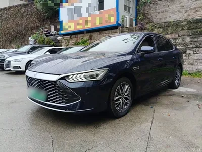 2023 BYD Qin PLUS Champion Edition DM-i 120KM Leading Type, фото 2, лот 10684781