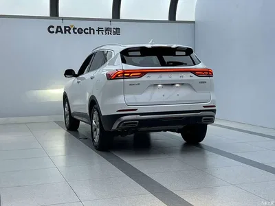 2021 Haval H6 Model National Trend Edition 1.5T Auto Champion, фото 3, лот 10297114