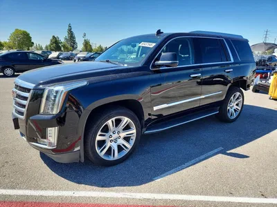 2020 CADILLAC ESCALADE PREMIUM LUXURY, фото 1, лот 10864953
