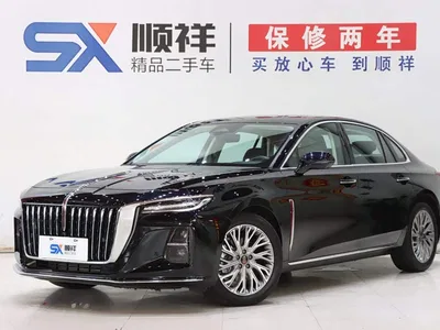 2023 Hongqi H5 2.0T Auto Smart Connect Flag Comfort, фото 1, лот 10286471