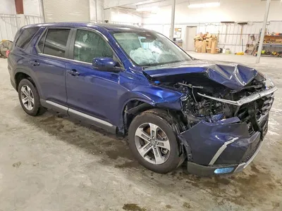 2024 HONDA PILOT EXL, фото 4, лот 10673408