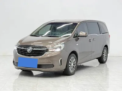 2021 Buick GL8 Land Business Class 652T Comfort, фото 1, лот 11518149