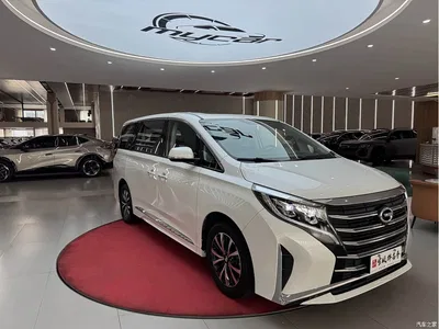 2024 GAC Trumpchi Trumpchi M8 Leadershow Series 390T Luxury Edition, фото 3, лот 11135908