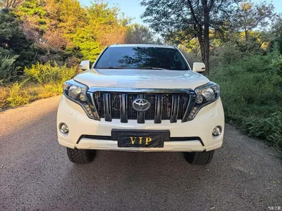 2016 Toyota Prado (Import), фото 3, лот 10765299