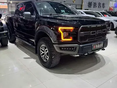 2017 Ford F-150 Raptor 3.5T Raptor Performance Edition, фото 3, лот 10299720