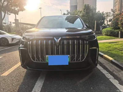2024 Voyah Auto Voyah Dreamer PHEV Extended Range Premium Edition, фото 1, лот 11198427