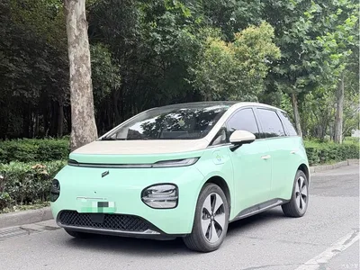 2023 Baojun Cloud 460 Max, фото 1, лот 11163882