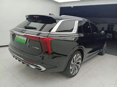 2022 Hongqi E-HS9 660km Qi Ling Edition (4-seater), фото 4, лот 11140321