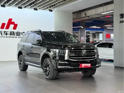 2022 Tank 500 3.0T Black Warrior Limited Edition 5-seater, фото 3, лот 11225252