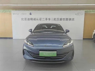 2025 BYD Seal 06 New Energy DM-i Smart Drive Edition 120KM Prestige, фото 2, лот 10272779