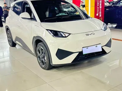 2025 BYD Seagull Smart Drive Edition 405km Free Edition, фото 3, лот 11536254