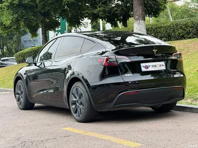 2024 Tesla Model Y Rear-Wheel Drive Version, фото 4, лот 10455501