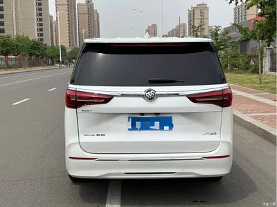 2020 Buick GL8 Model ES Landglory 653T Premium, фото 3, лот 10257477