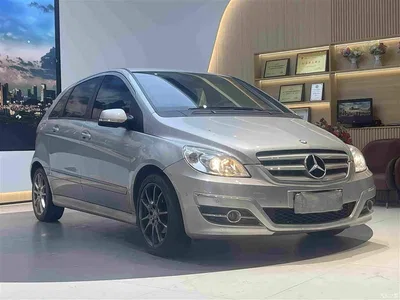 2009 Mercedes-Benz B-Class B 200 Luxury, фото 3, лот 10287412