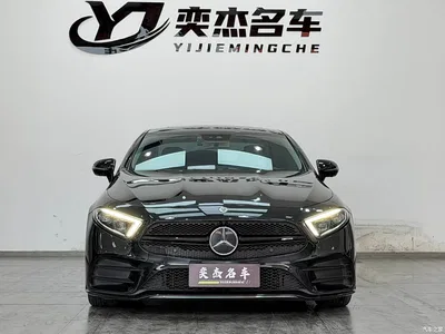 2020 Mercedes-Benz CLS 300 Luxury, фото 2, лот 10770608