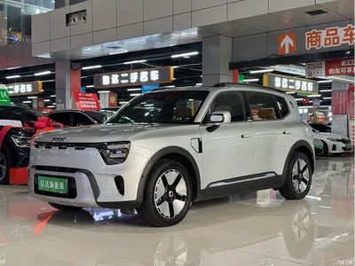 2026 smart Genie #5 Model 252km Standard Edition, фото 1, лот 10342975