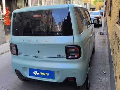 2024 Geely Galaxy Panda mini 200km Endurance Bear, фото 4, лот 11584287