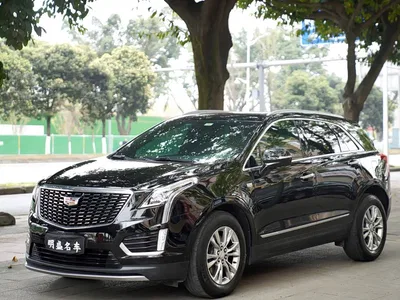 2021 Cadillac XT5 2.0T 2WD Luxury Edition, фото 1, лот 10307878