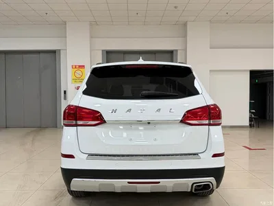 2017 Haval H6 Blue Label Sport 1.5T Auto 2WD Luxury, фото 4, лот 10283770
