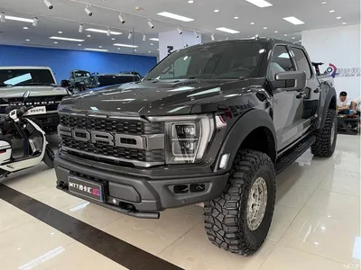 2023 Ford F-150 Raptor 3.5T Raptor, фото 3, лот 10280999