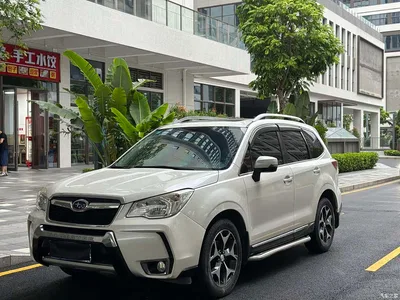 2015 Subaru Forester 2.0i Special Commemorative Edition, фото 1, лот 10341460