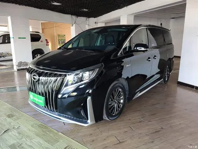 2021 GAC Trumpchi Trumpchi M8 Master Series 390T Ultimate Edition, фото 2, лот 10426183