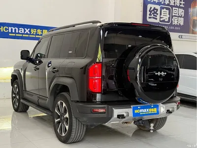 2023 Byd Leopard 5 Pilot Edition, фото 4, лот 10822872