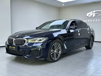 2022 BMW 5 Series Model Second Facelift 530Li Leading M Sport Package, фото 1, лот 10476616