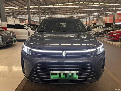 2022 AITO Wenjie AITO M7 1.5T AWD Luxury Edition, фото 2, лот 10276656