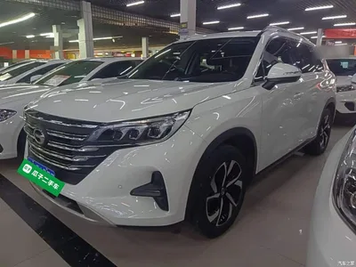 2019 GAC Trumpchi Trumpchi GS5 270T Automatic Luxury, фото 1, лот 10386833