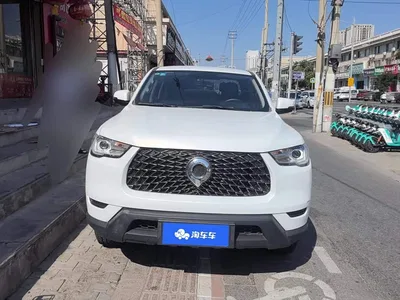 2021 Great Wall Pao 2.0T Commercial Edition Manual Gasoline 2WD Elite Standard Box GW4C20B, фото 2, лот 10246000